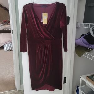 Holiday Burgandy Velour Dress